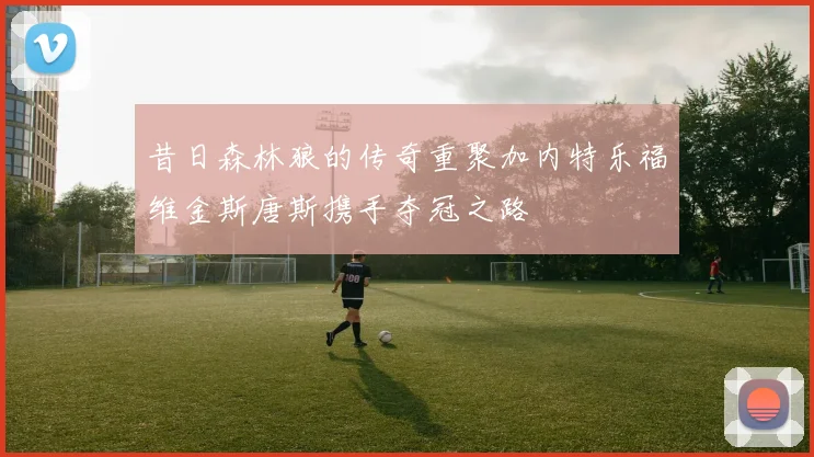 昔日森林狼的传奇重聚加内特乐福维金斯唐斯携手夺冠之路