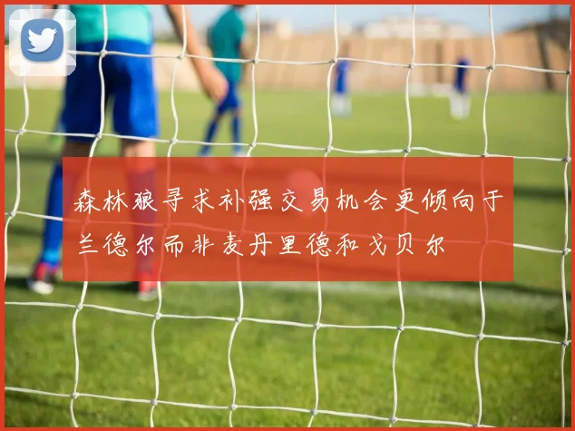 森林狼寻求补强交易机会更倾向于兰德尔而非麦丹里德和戈贝尔